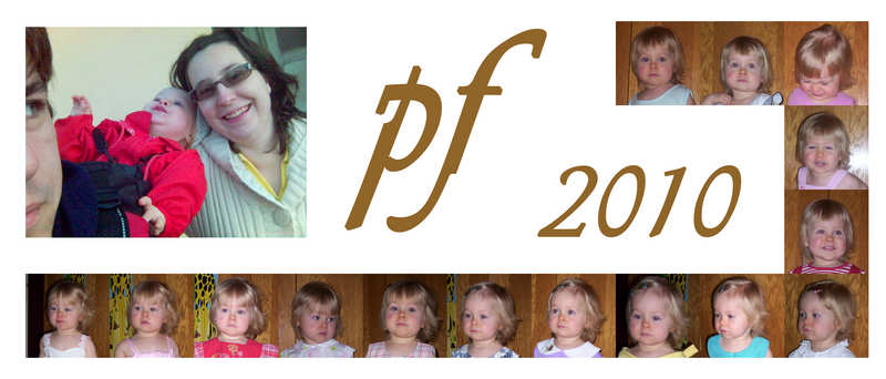 PF 2010