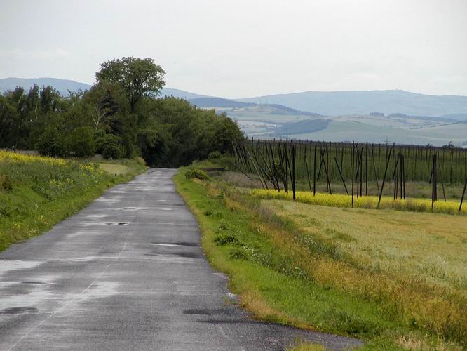 08 Pozdji ns provzej chmelnice a poho