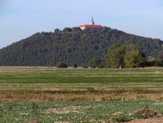 25 a osluje ns svou vzneenou dominanc v krajin