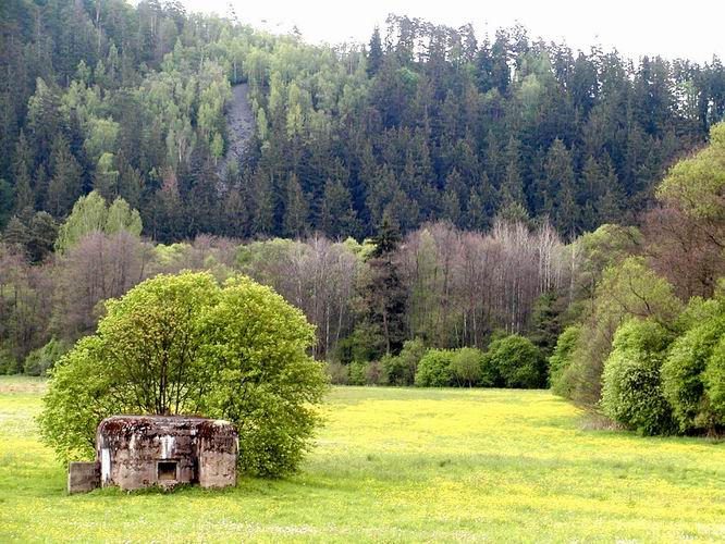 14 a zelen ns nakonec dovede do romantickho  dol Stely