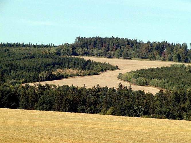 24 Na cest zpt do Lankrouna m zaujme Lesn pole ve tvaru 8