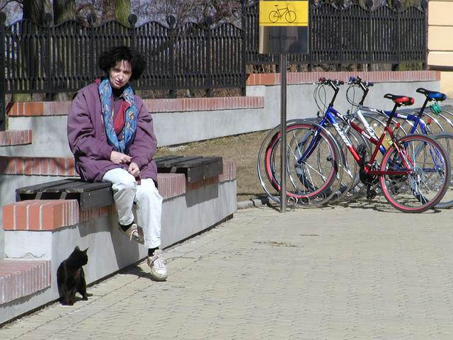 15 Vyskytutj se tu tak koky a cyklista ocen ndhern spirlov stojan na kola