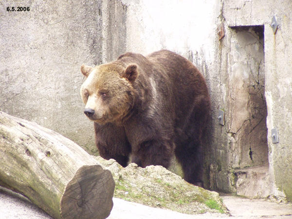 ZOO Bojnice