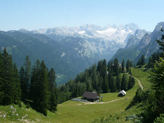 Zwieselalm - pohled na Dachstein