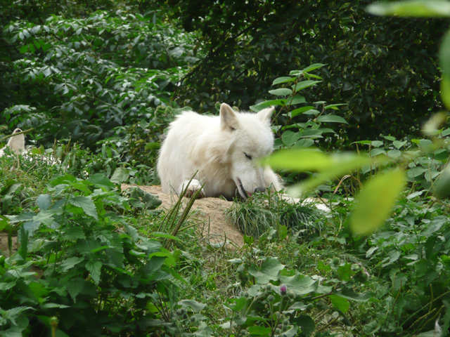 ZOO Brno