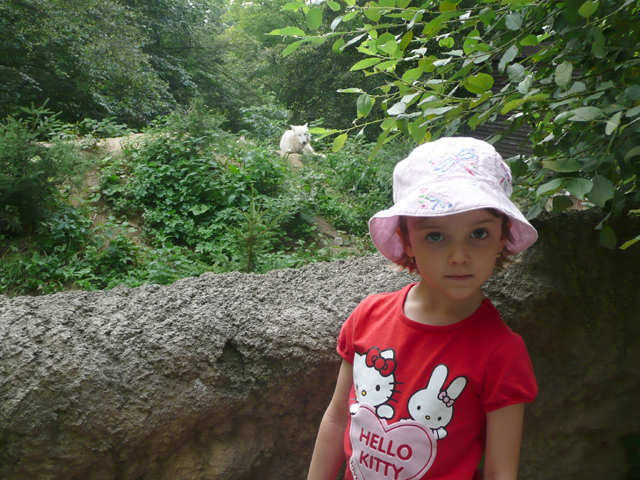 ZOO Brno