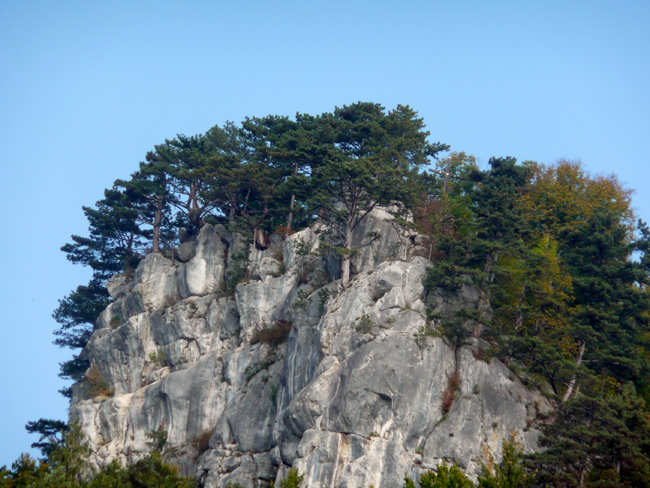 Pohled na skaln vyhldku Hausstein