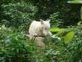 ZOO Brno