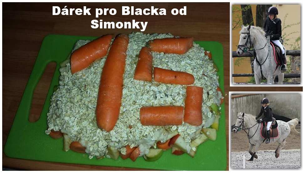 Drek pro Blacka od Simonky. Pamlsek podle receptury upekla Simonka sama.