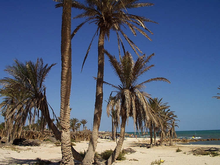 Djerba