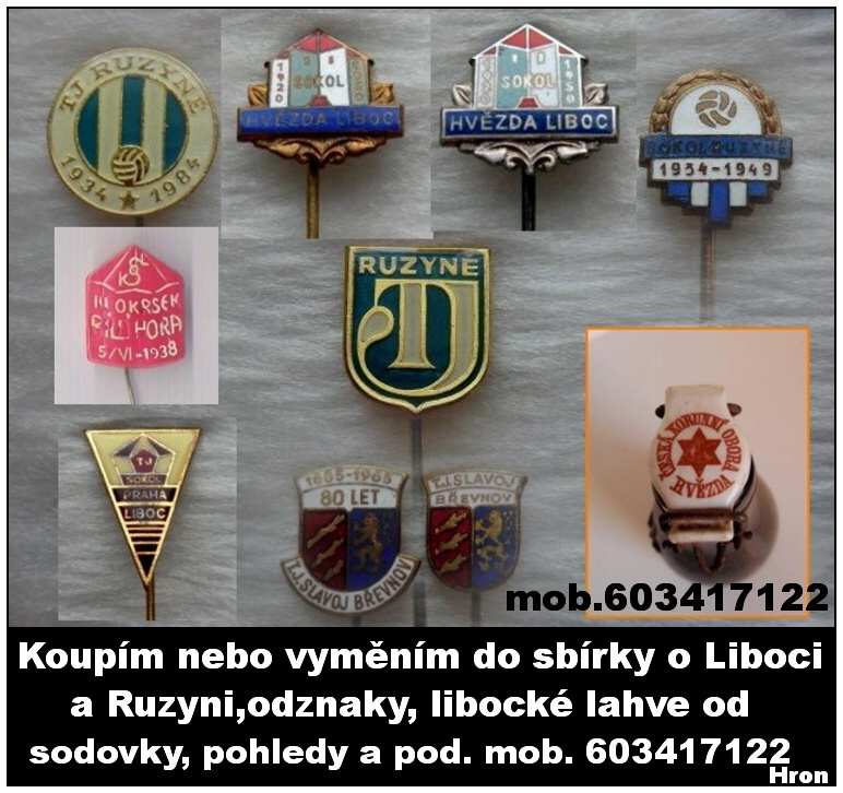 Koupm nebo vymnm do sbrky o Liboci ve na tma Liboc,Ruzyn,Veleslavn.  Hron  mob.603417122