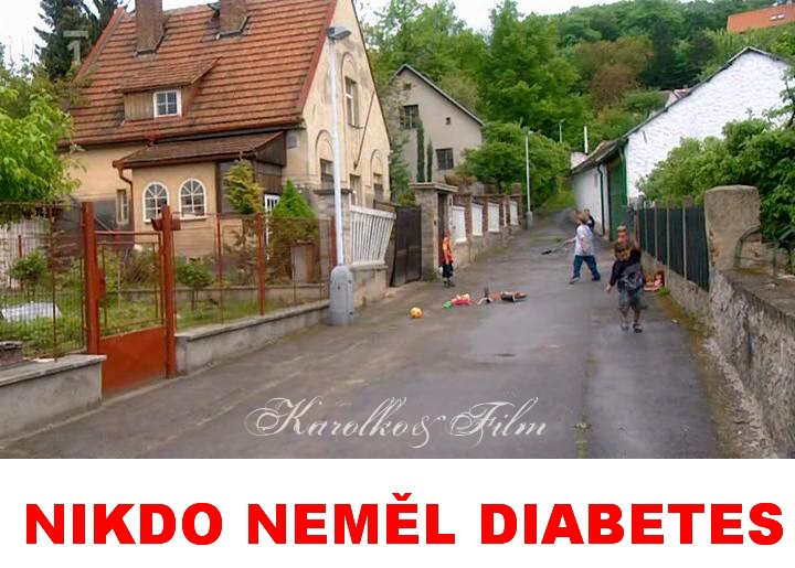 Liboc v televizi. Na T.1 2.1.2011 bela detektivka ,,NIKDO NEML DIABETES,, s M.Vautem,Nmcem,Strnskm,Zachem atd. Film je z r. 2001,nutno podotknout dobr detektivka. 