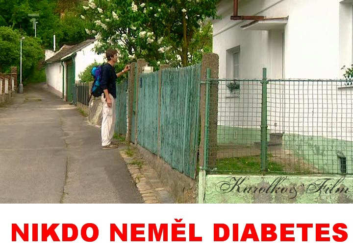 Liboc v televizi. Na T.1 2.1.2011 bela detektivka ,,NIKDO NEML DIABETES,, s M.Vautem,Nmcem,Strnskm,Zachem atd. Film je z r. 2001,nutno podotknout dobr detektivka. 