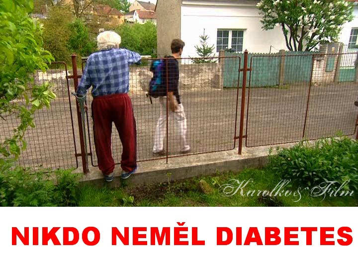 Liboc v televizi. Na T.1 2.1.2011 bela detektivka ,,NIKDO NEML DIABETES,, s M.Vautem,Nmcem,Strnskm,Zachem atd. Film je z r. 2001,nutno podotknout dobr detektivka. 