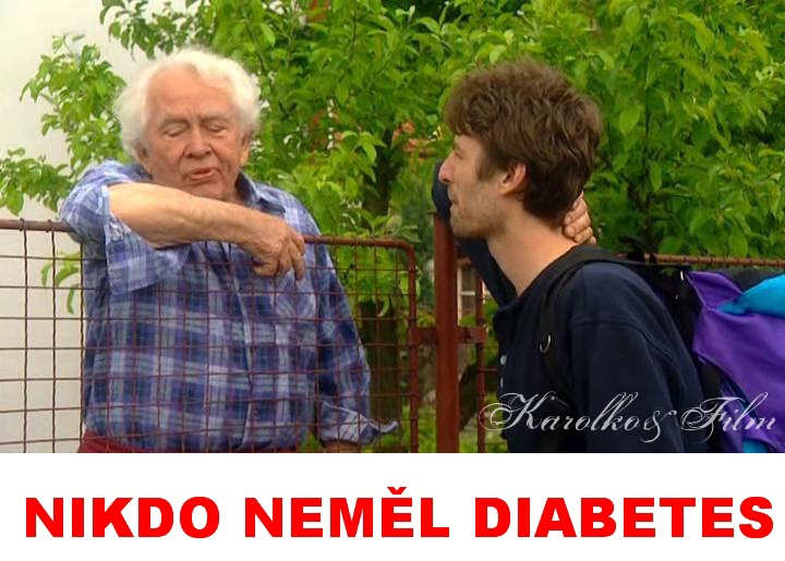 Liboc v televizi. Na T.1 2.1.2011 bela detektivka ,,NIKDO NEML DIABETES,, s M.Vautem,Nmcem,Strnskm,Zachem atd. Film je z r. 2001,nutno podotknout dobr detektivka. 