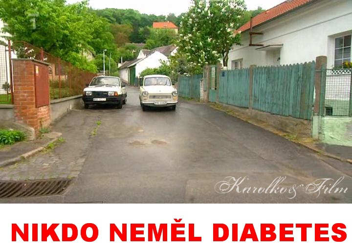 Liboc v televizi. Na T.1 2.1.2011 bela detektivka ,,NIKDO NEML DIABETES,, s M.Vautem,Nmcem,Strnskm,Zachem atd. Film je z r. 2001,nutno podotknout dobr detektivka. 