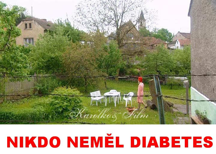 Liboc v televizi. Na T.1 2.1.2011 bela detektivka ,,NIKDO NEML DIABETES,, s M.Vautem,Nmcem,Strnskm,Zachem atd. Film je z r. 2001,nutno podotknout dobr detektivka. 