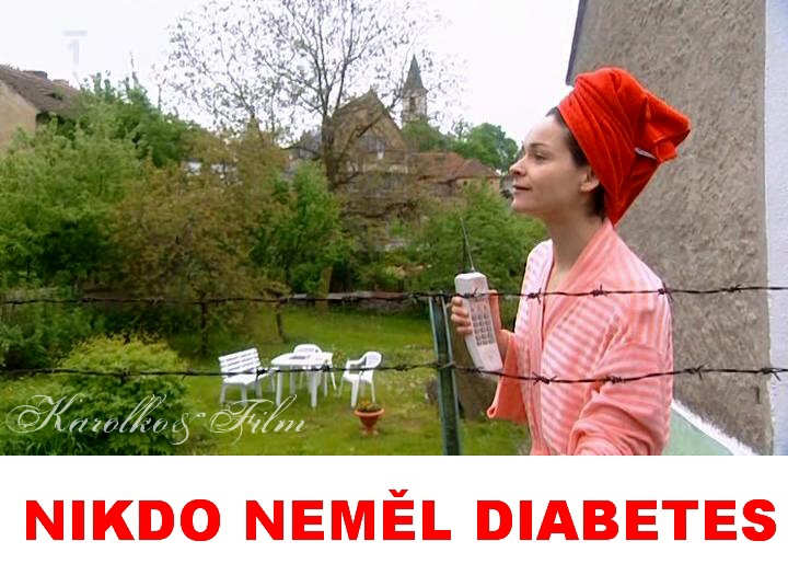 Liboc v televizi. Na T.1 2.1.2011 bela detektivka ,,NIKDO NEML DIABETES,, s M.Vautem,Nmcem,Strnskm,Zachem atd. Film je z r. 2001,nutno podotknout dobr detektivka. 