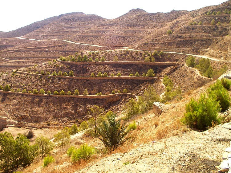 Sahara - Tamerzet