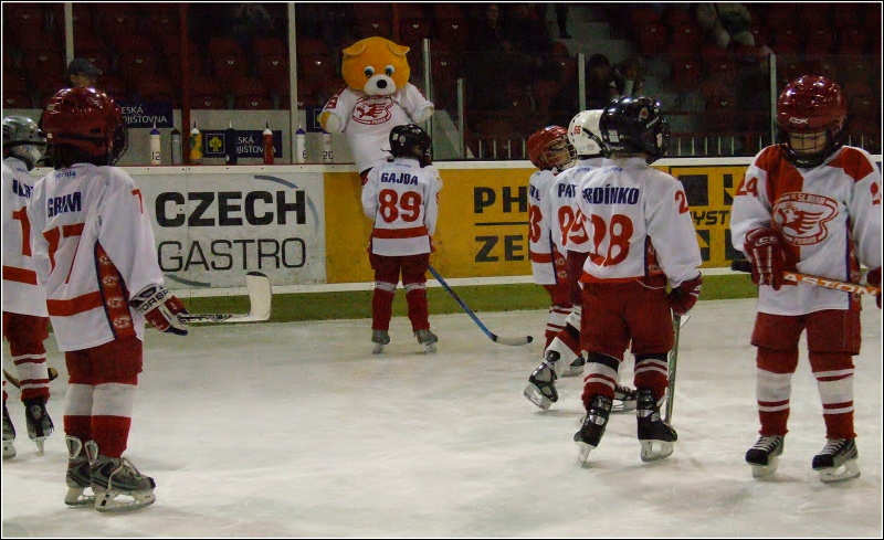 Domc hokejist Slavie remzovali s Hvdou Praha 2:2. Hvzda vstoupila do zpasu ped plnmi tribumami v elnu. Od prvn vteiny udvali tempo hry a svou aktivitu dokzali brzy vyjdit i glov. Ji ve 4 min. po akci 3 formace padla prvn branka.