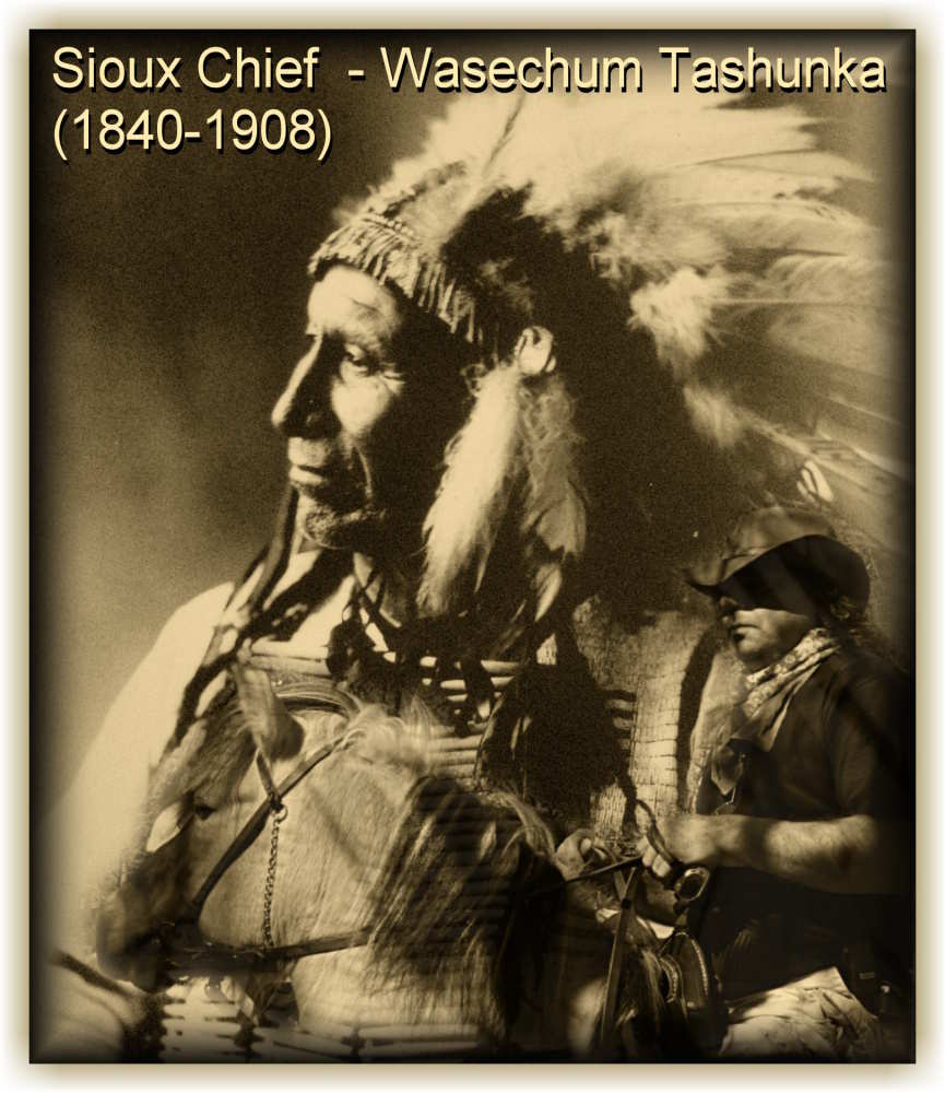 Oglala Sioux Chief - Wasechum Tashunka (1840-1908)  