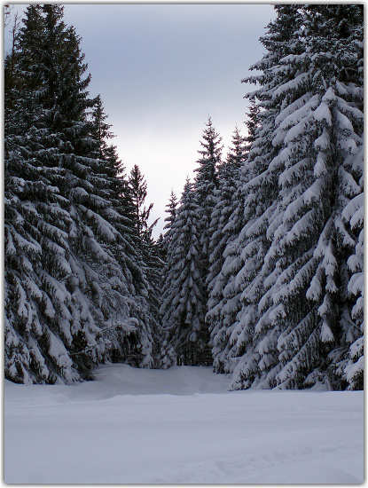 umava - Zadov Kobyla nor 2009