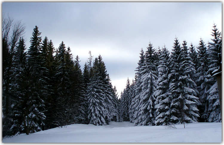 umava - Zadov Kobyla nor 2009