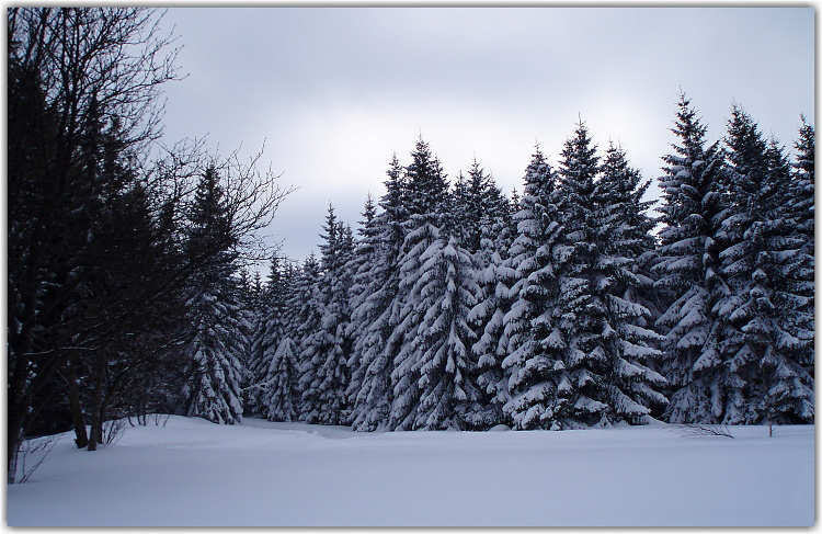 umava - Zadov Kobyla nor 2009