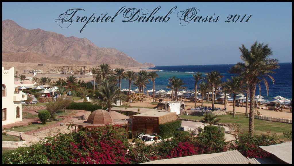 Listopad-2011-Egypt-Dahab