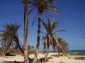 Djerba