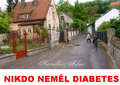 Liboc v televizi. Na T.1 2.1.2011 bela detektivka ,,NIKDO NEML DIABETES,, s M.Vautem,Nmcem,Strnskm,Zachem atd. Film je z r. 2001,nutno podotknout dobr detektivka. 