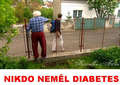 Liboc v televizi. Na T.1 2.1.2011 bela detektivka ,,NIKDO NEML DIABETES,, s M.Vautem,Nmcem,Strnskm,Zachem atd. Film je z r. 2001,nutno podotknout dobr detektivka. 