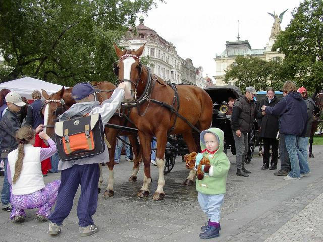 Vinohradsk vinobran