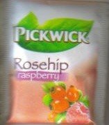 PICKWICK-ROSEHIP raspberry 10.000.706