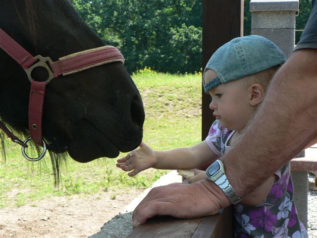 Kao dv konkovi drobeek (vc ne, aby j nco zbylo...) :-)