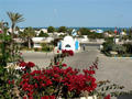 Djerba - Hotel Homere ***