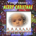 Vesel vnoce