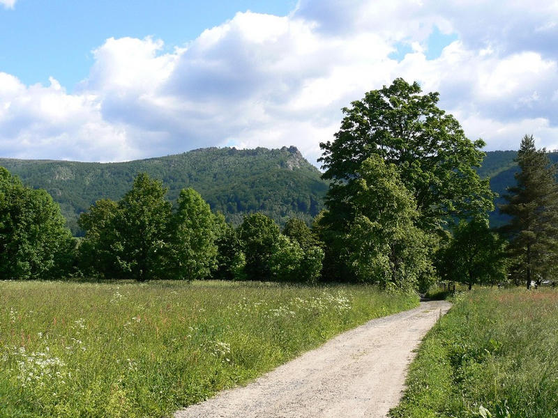 cesta v Blm Potoce