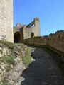 vstup do hradu Landtejn