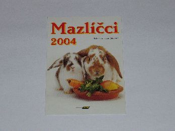 Leon-Mazlci