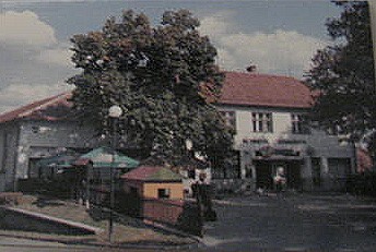 Restaurace a eznictv u Staku-Mohelno