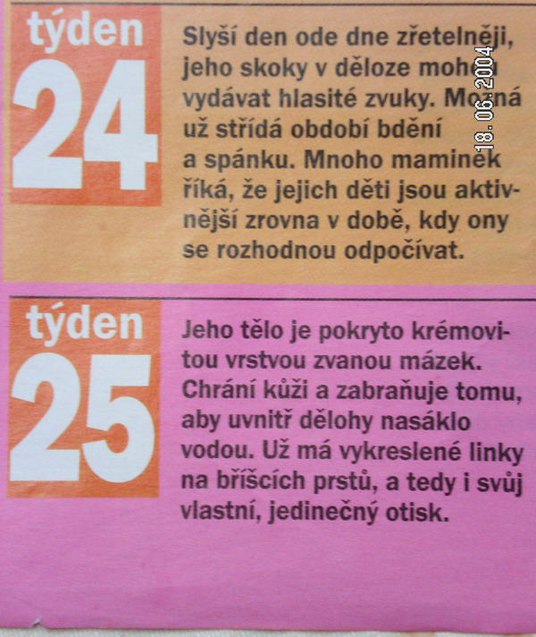 24.24 tden