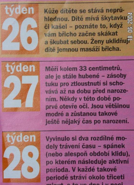 26.27.28 tden