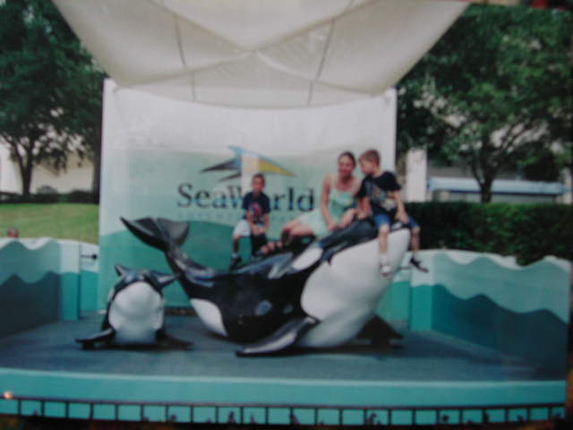 Sea World