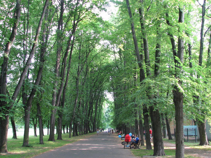 park Komenskho sady v centru Ostravy