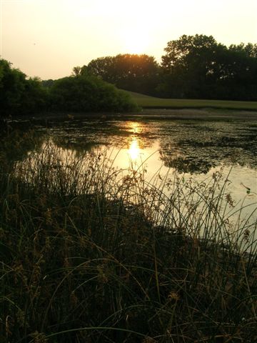 zapad slunce nad Cumberland Park