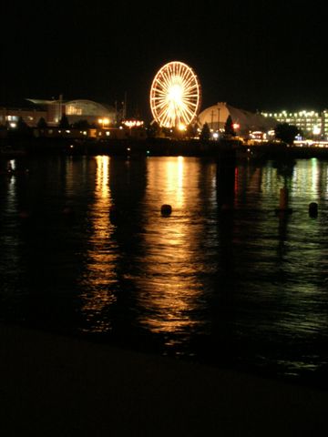 pohled na nocni Navy Pier