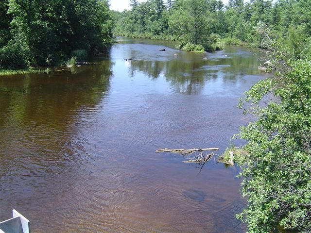 Wolf river