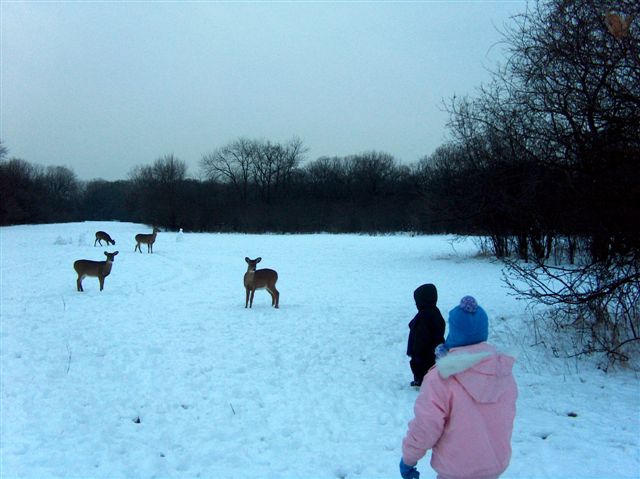 a tady se chodime koukat na Jelinky,vubec se neboji