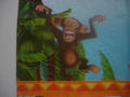 Madagarskar Opice detail